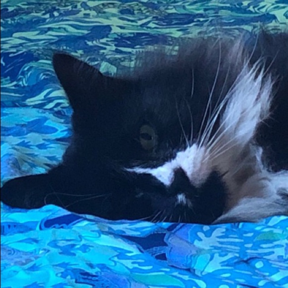 Meet your Posher, Meghan